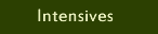 Mark-Hans Intensives